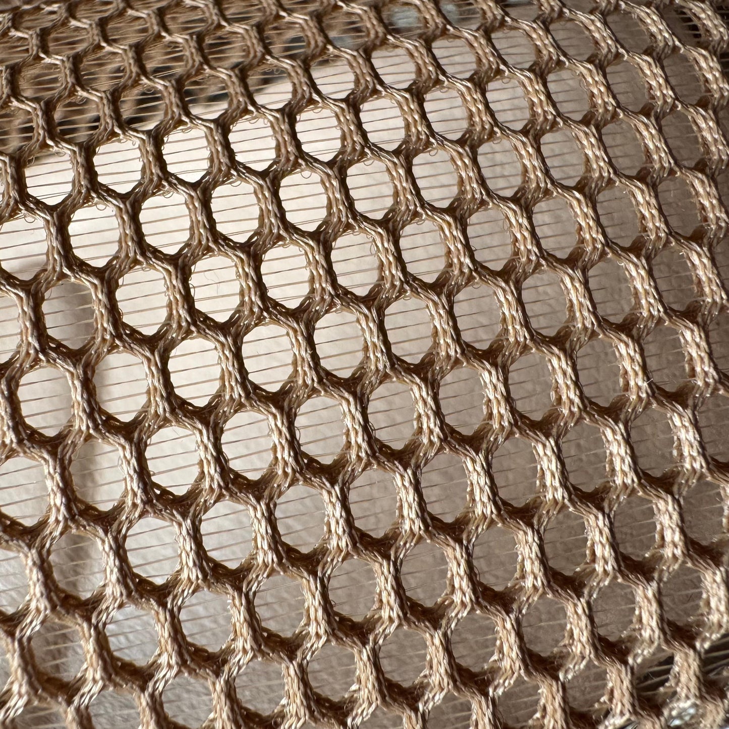 MESH BALLET | Brown Bear