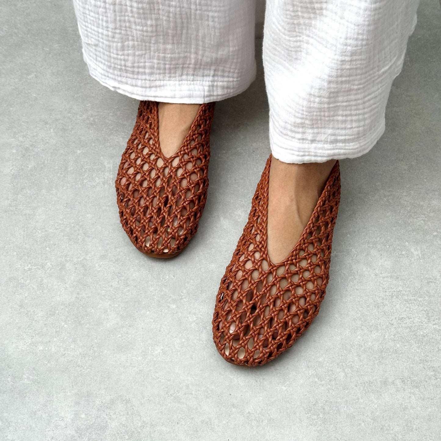 MONARCHS | Red Beech