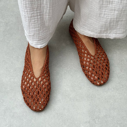MONARCHS | Red Beech