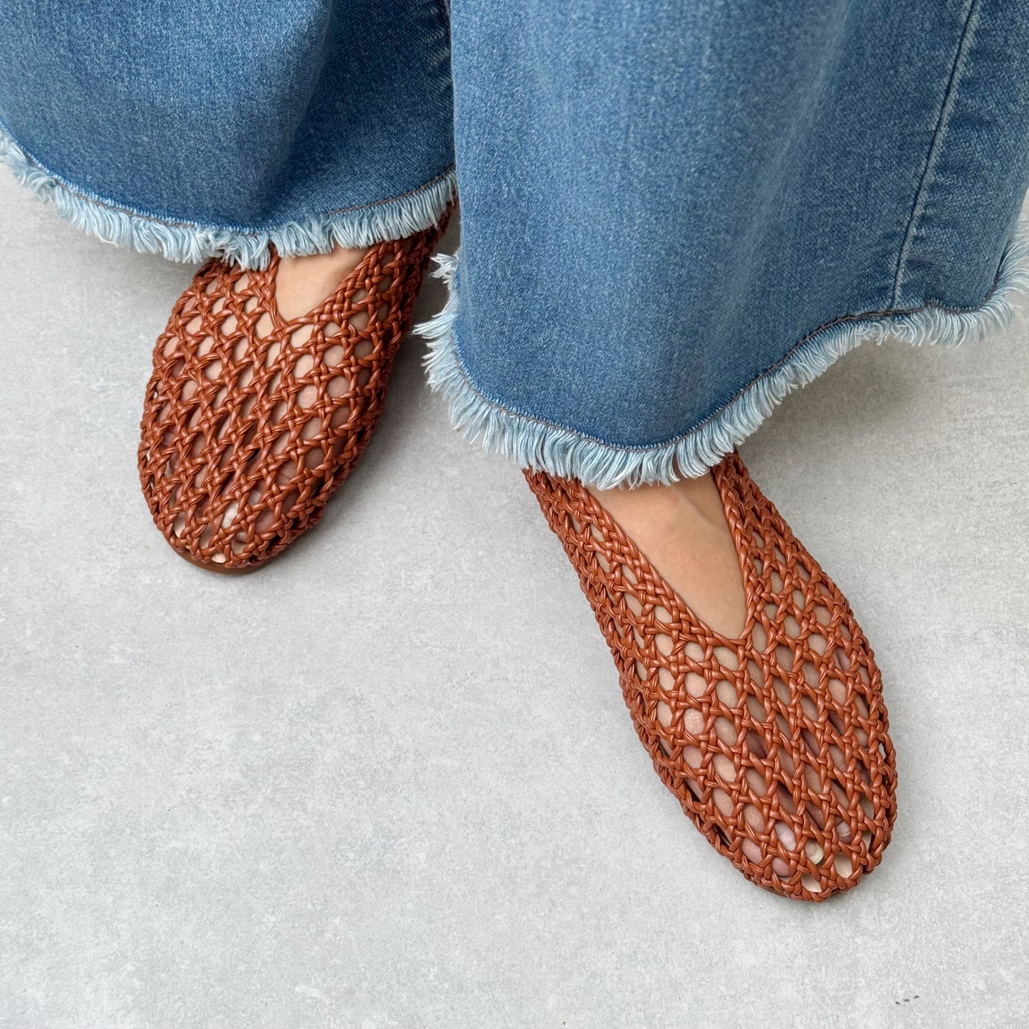 MONARCHS | Red Beech